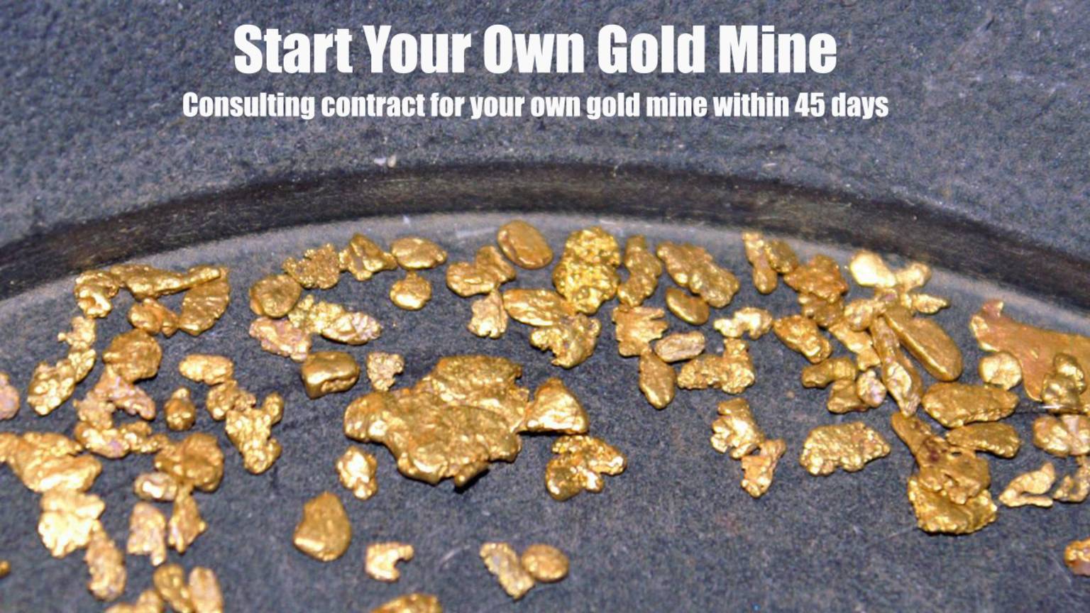 Start Your Own Gold Mine (1) Introduction