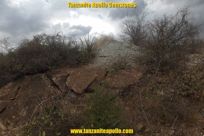 Surface on Mirerani Hills, the source of Tanzanite