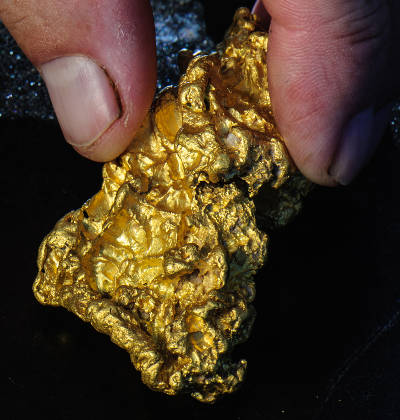 Gold Nugget