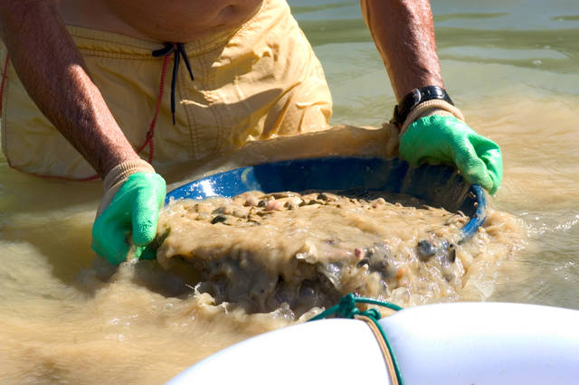 Gold Prospecting