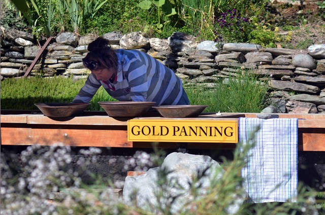 Gold Panning